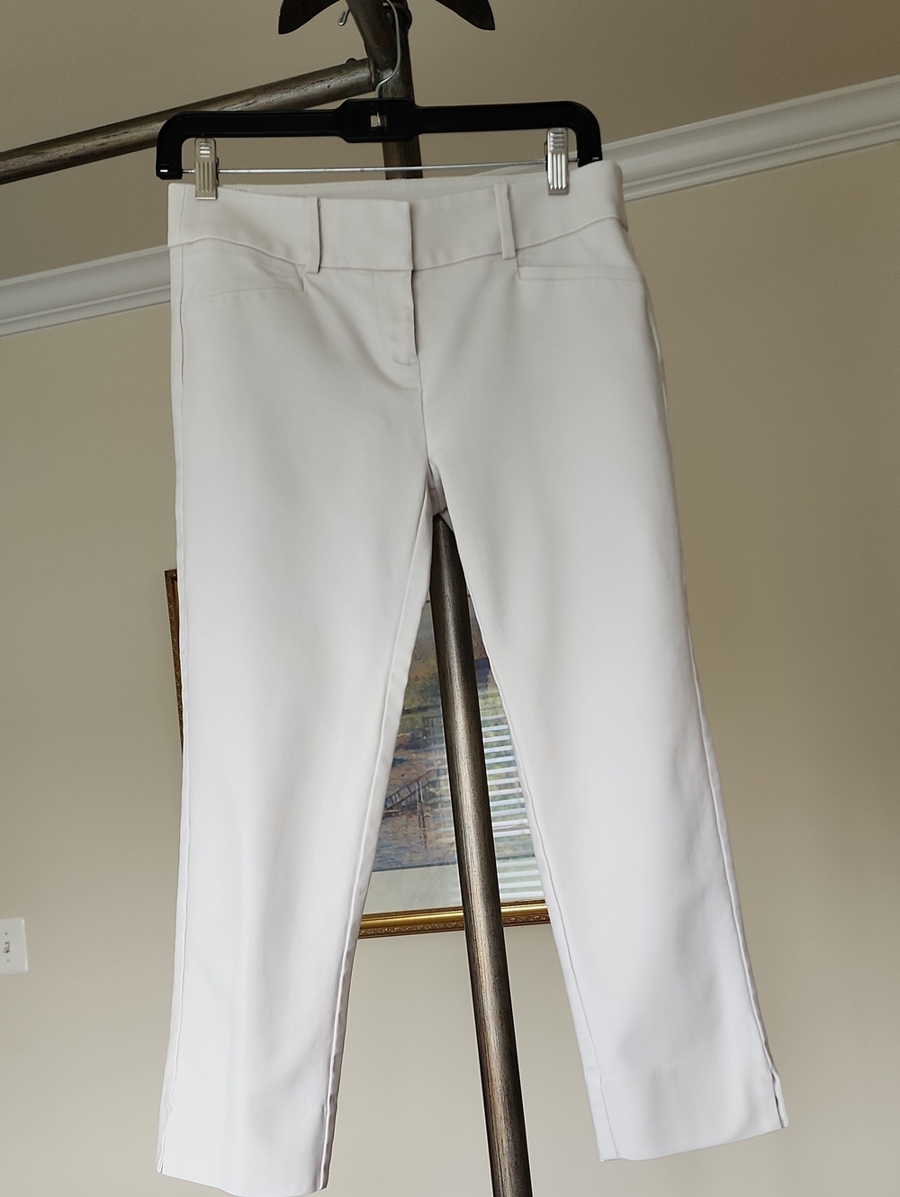 LOFT PETITE Marisa Riviera Ankle Pant